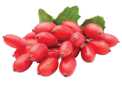 DentaSmile Pro Review 2026: Does This Dental Supplement Really Work? ingredient 3